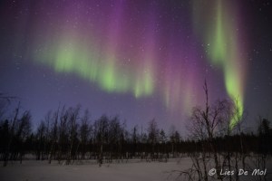 noorderlicht