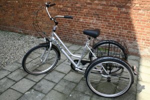 driewieler-volwassenen003