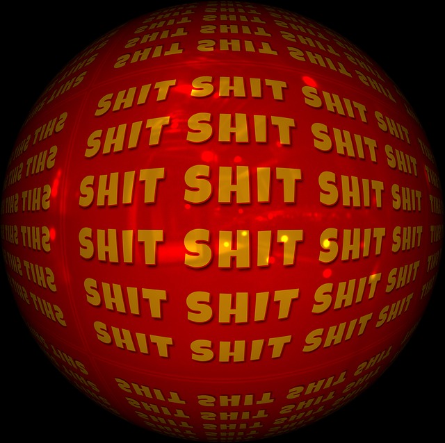 shit-759386_640